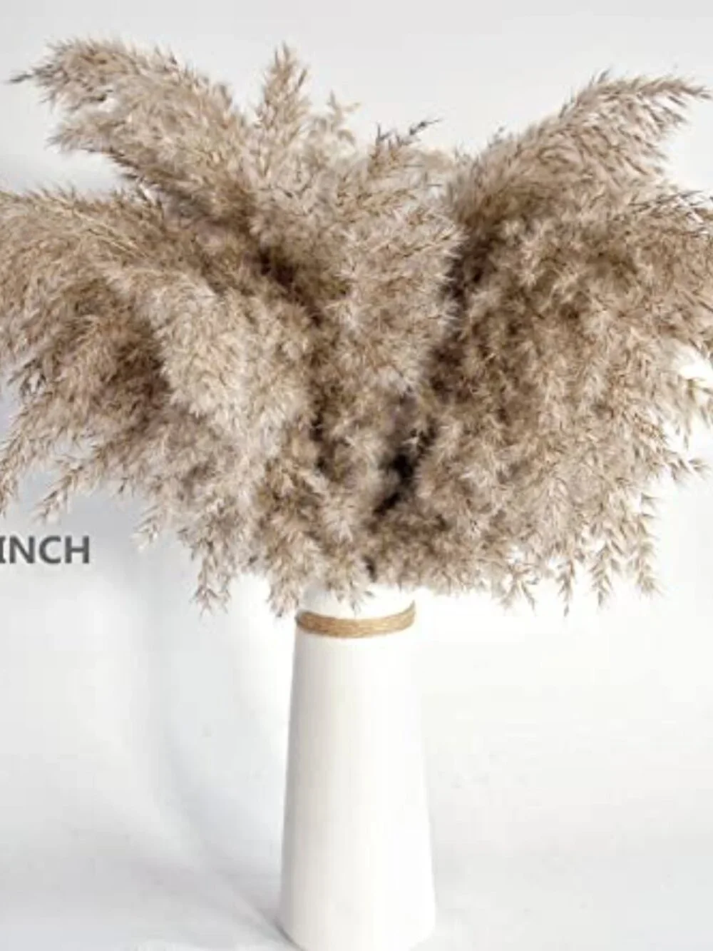 New Pampas Grass Decor, Natural Dry Pampas Grass Small, Short Pampass Bulk - Picture 6 of 7